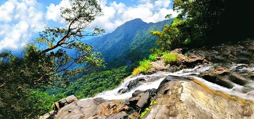 2 Days Bach Ma National Park Trekking Tour